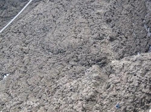 污泥壓濾機(jī)使用場景.jpg 污泥壓濾機(jī)使用場景.jpg